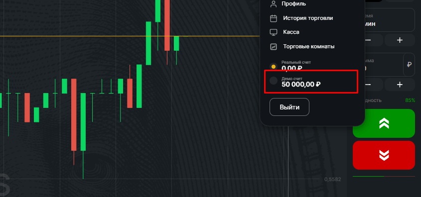 demo bintrade
